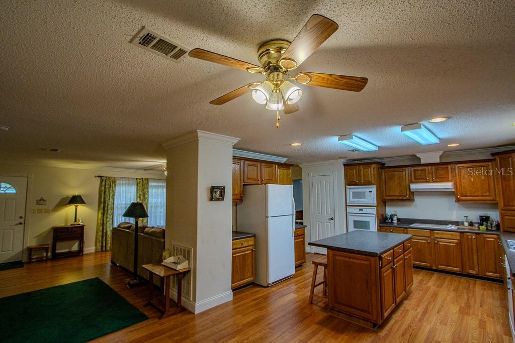 141 SE MAID MARION LN, HIGH SPRINGS, FL, 32643