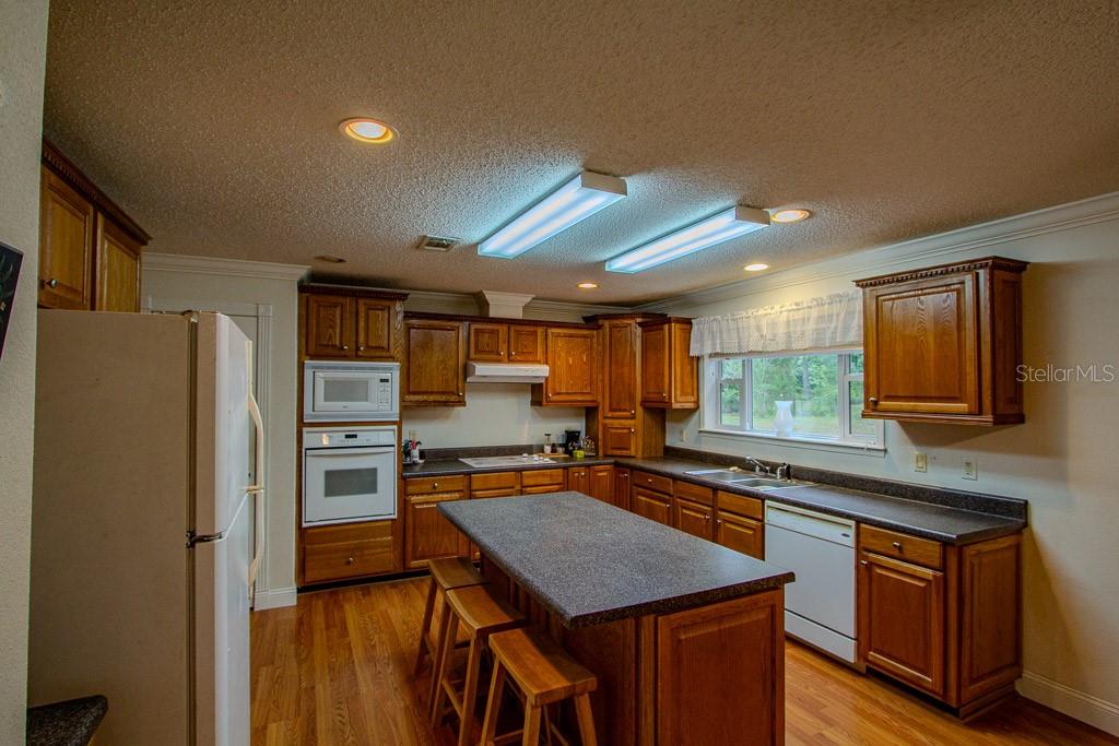 141 SE MAID MARION LN, HIGH SPRINGS, FL, 32643