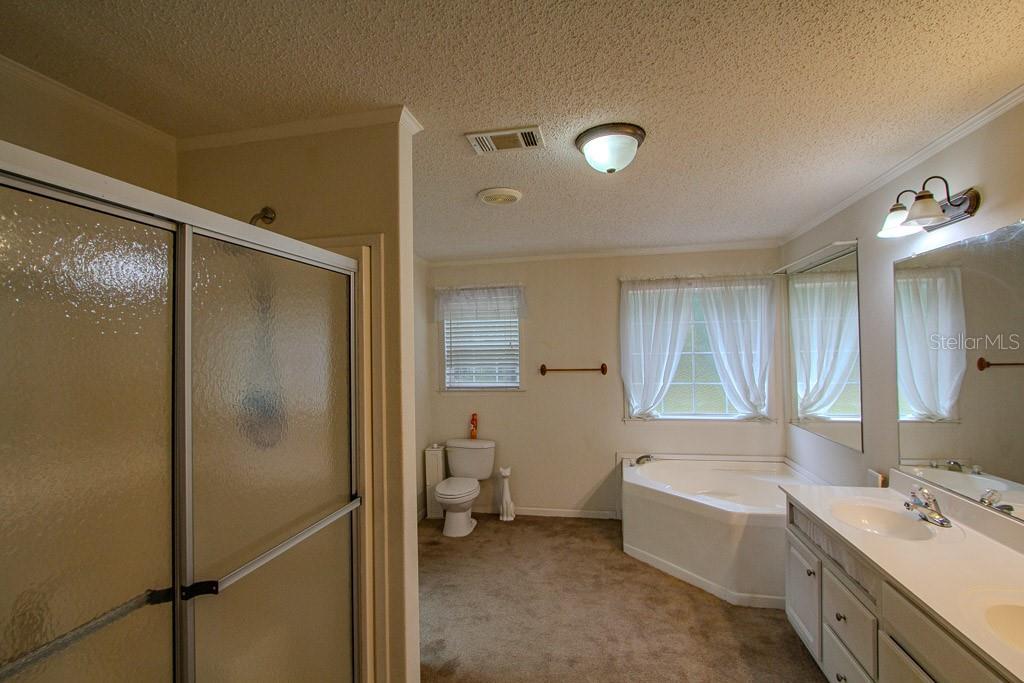 141 SE MAID MARION LN, HIGH SPRINGS, FL, 32643