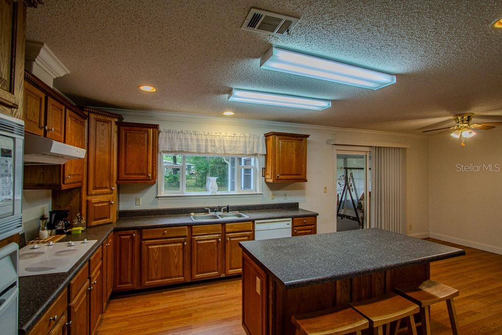 141 SE MAID MARION LN, HIGH SPRINGS, FL, 32643