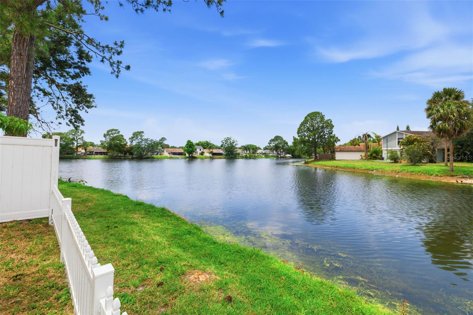 10315 CHADBOURNE DR, TAMPA, FL, 33624