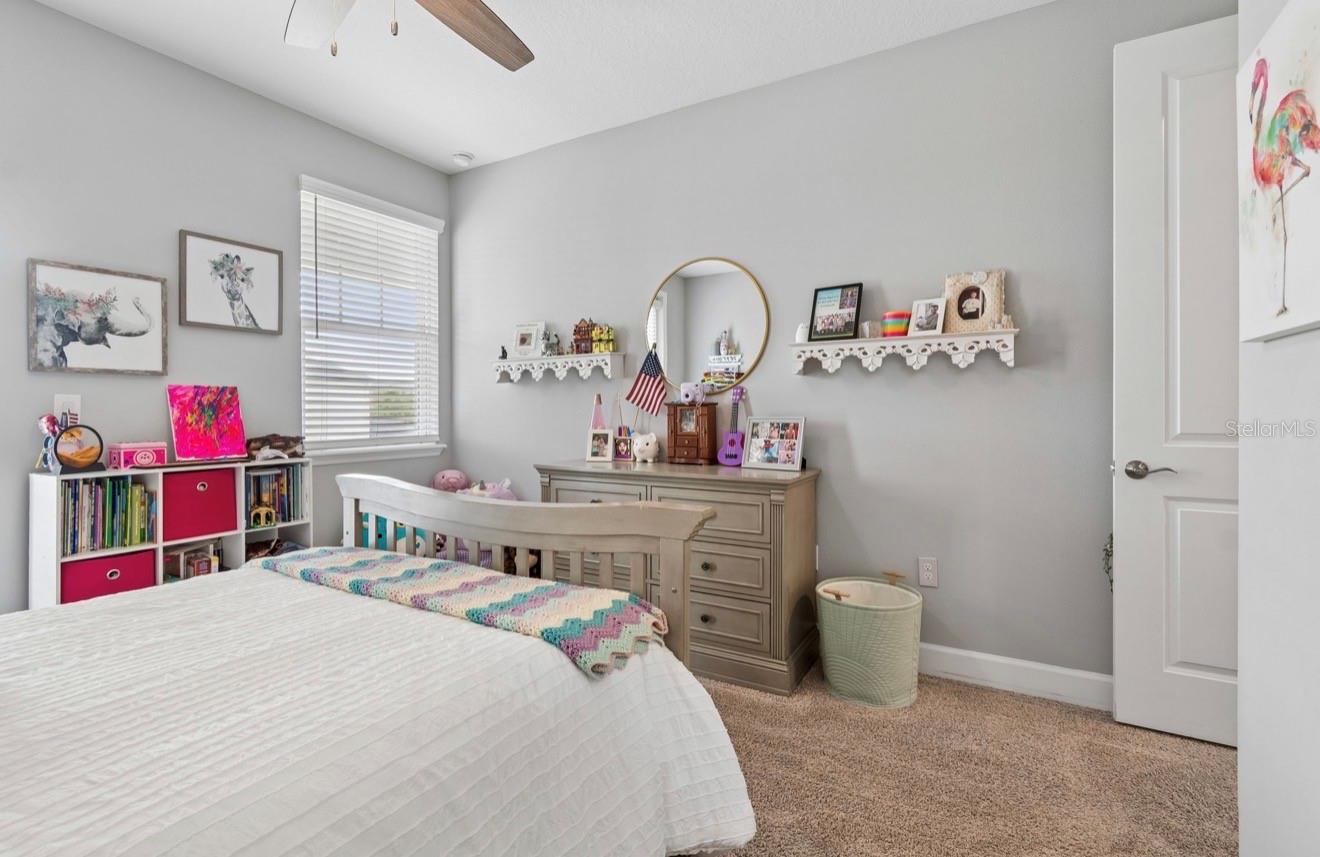 13720 STEVENSON LN, ODESSA, FL, 33556