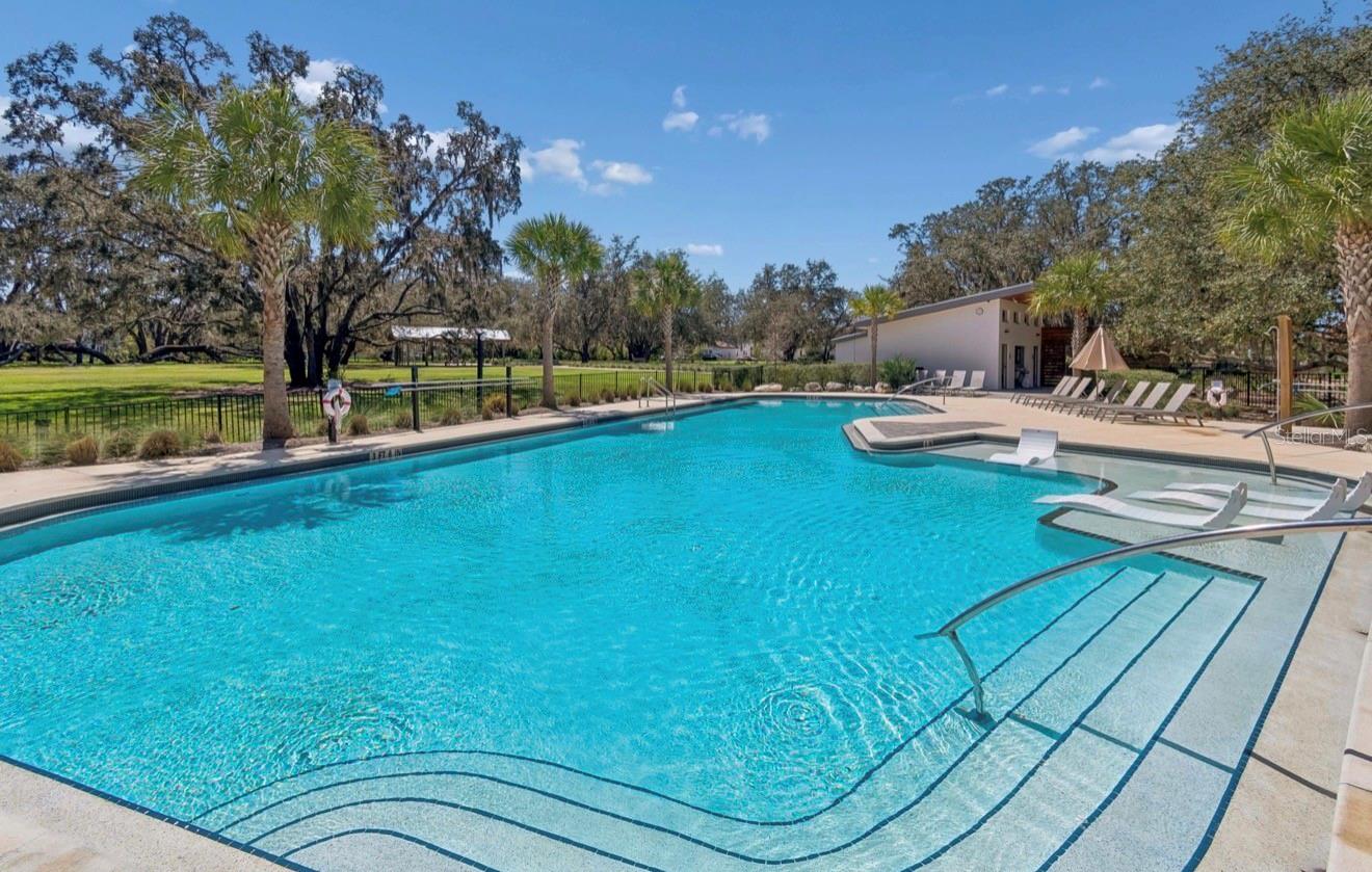 13720 STEVENSON LN, ODESSA, FL, 33556