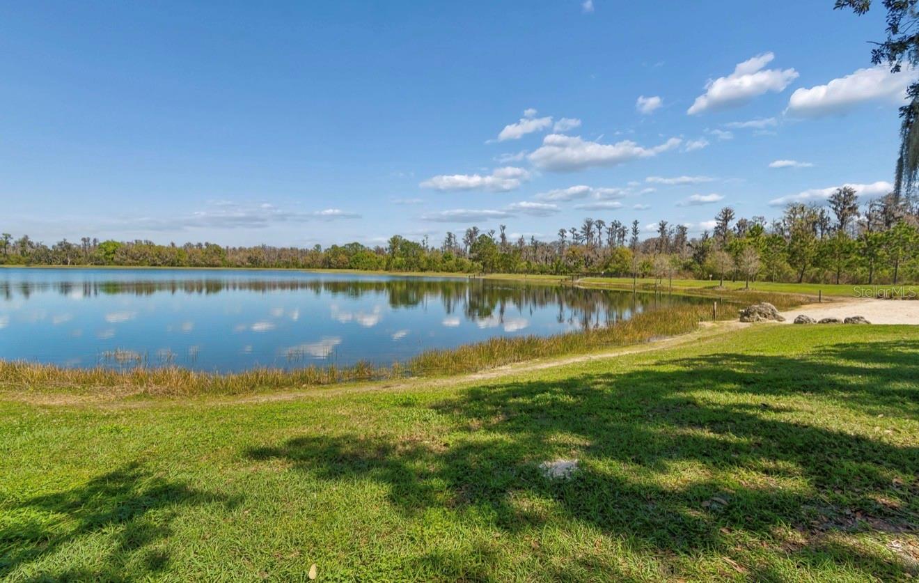 13720 STEVENSON LN, ODESSA, FL, 33556