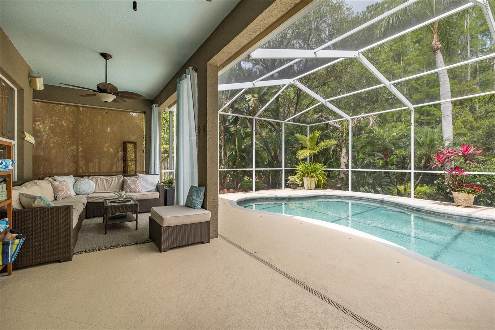 19204 PRISTINE PL, LUTZ, FL, 33558