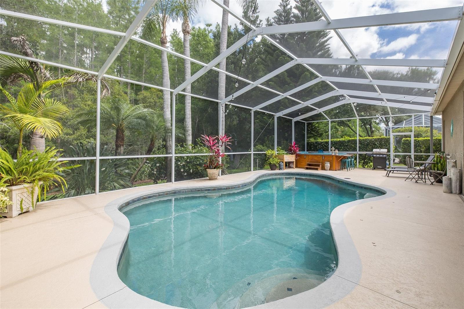 19204 PRISTINE PL, LUTZ, FL, 33558