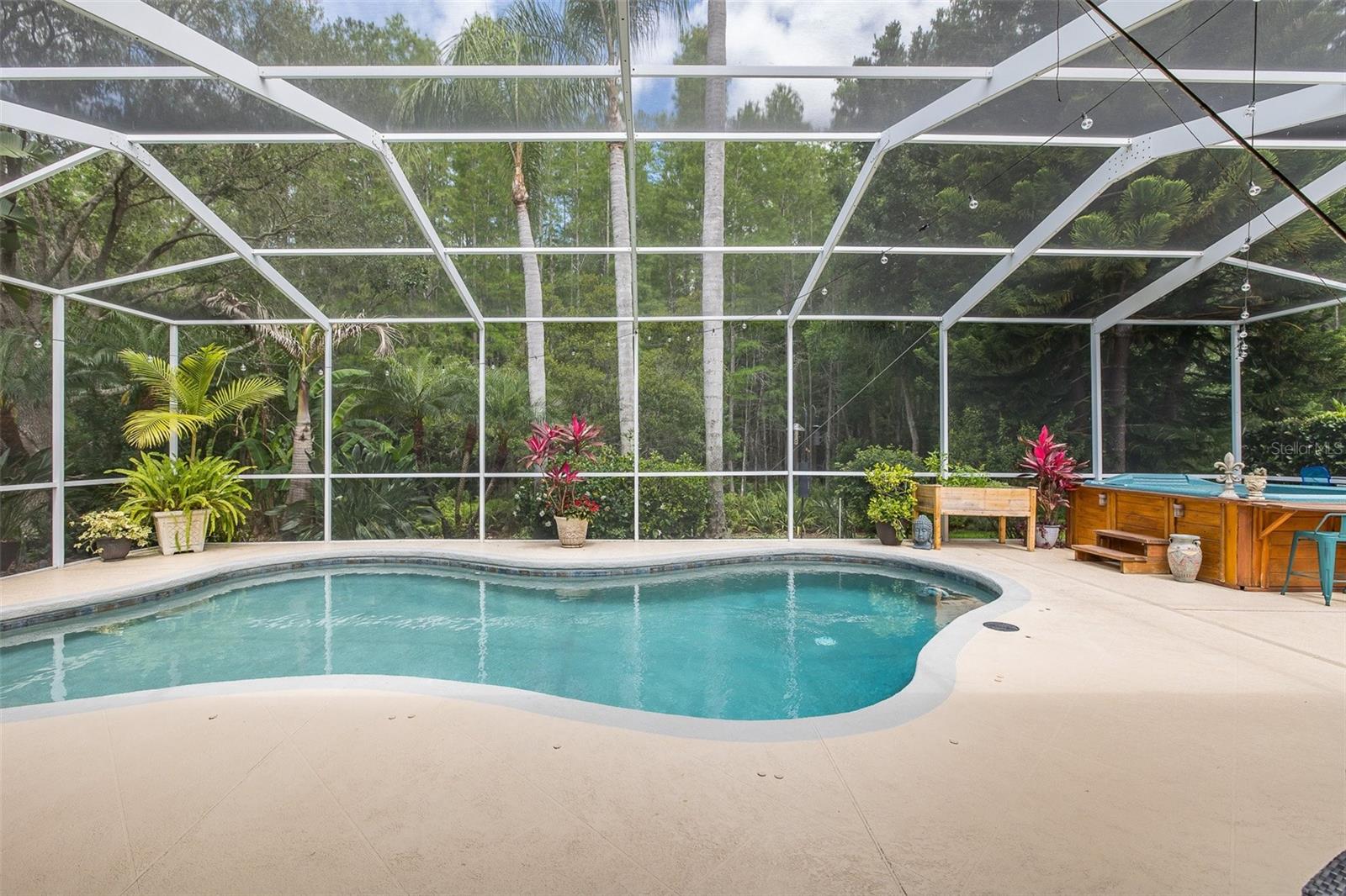 19204 PRISTINE PL, LUTZ, FL, 33558