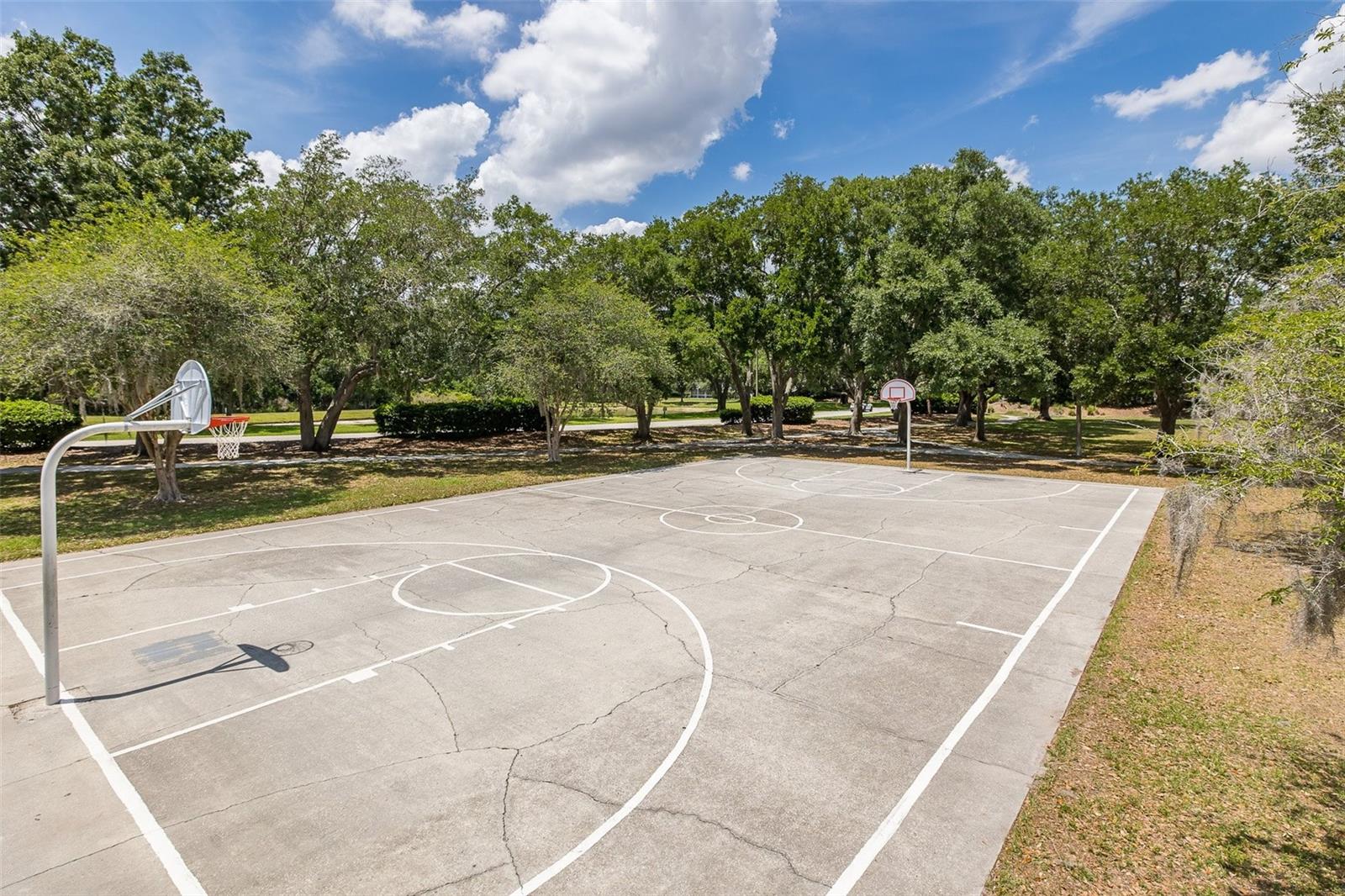 19204 PRISTINE PL, LUTZ, FL, 33558