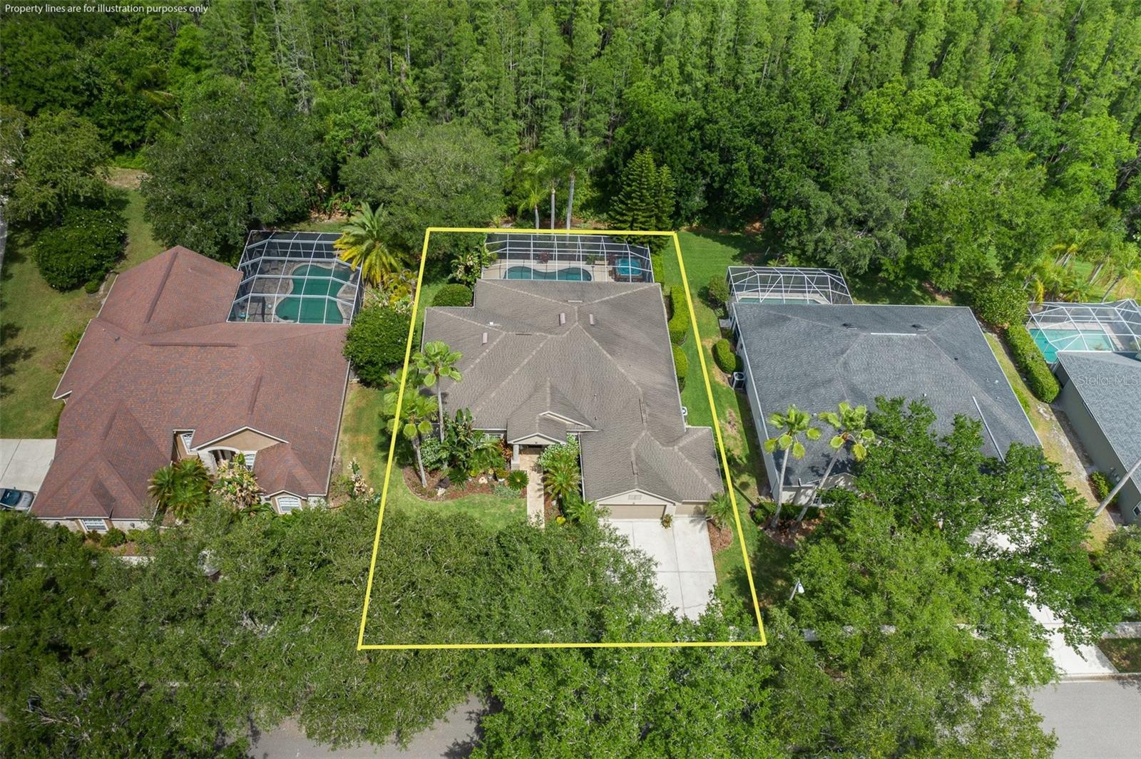 19204 PRISTINE PL, LUTZ, FL, 33558