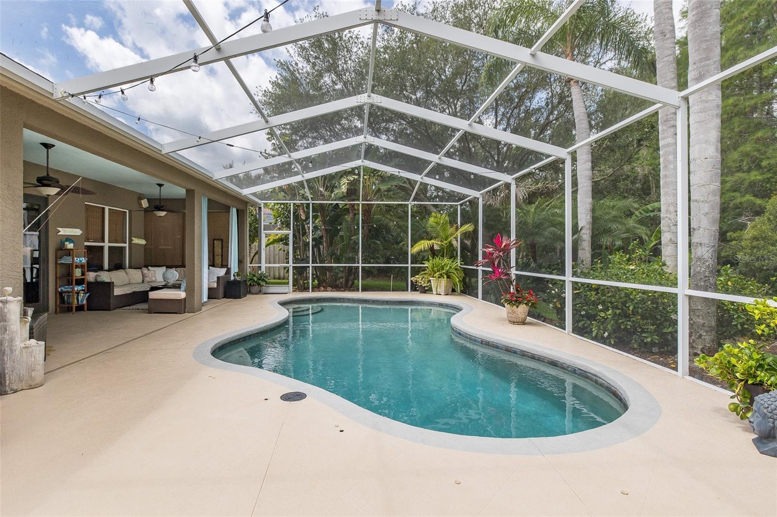 19204 PRISTINE PL, LUTZ, FL, 33558