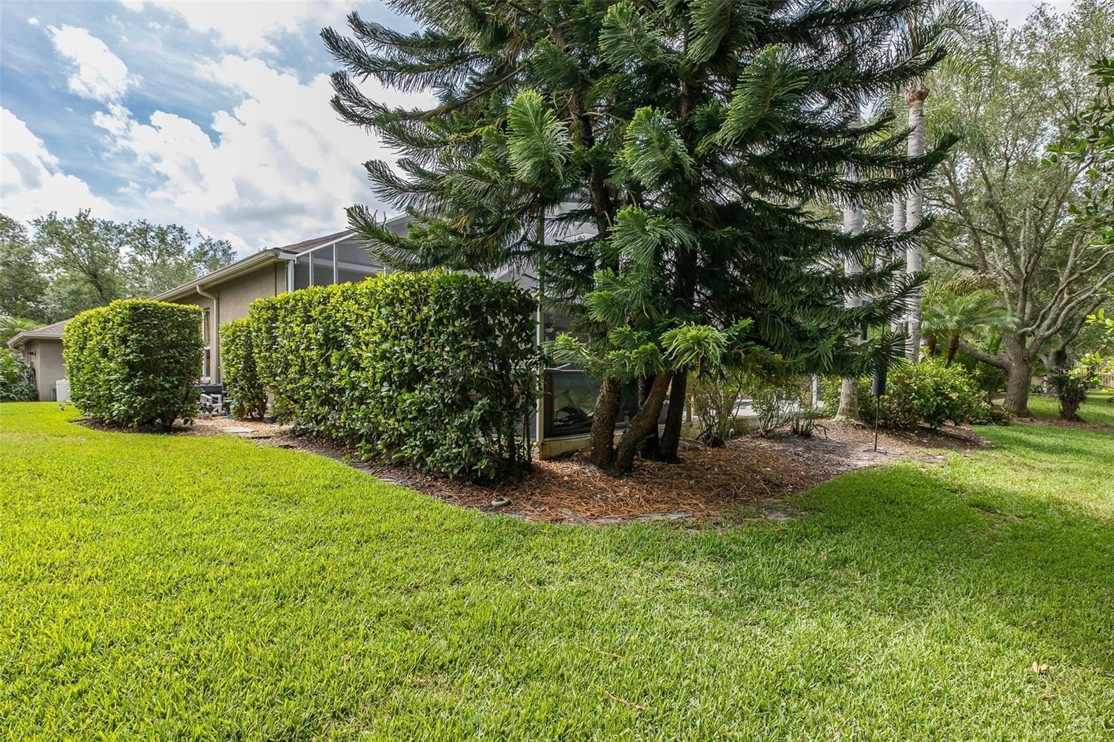 19204 PRISTINE PL, LUTZ, FL, 33558