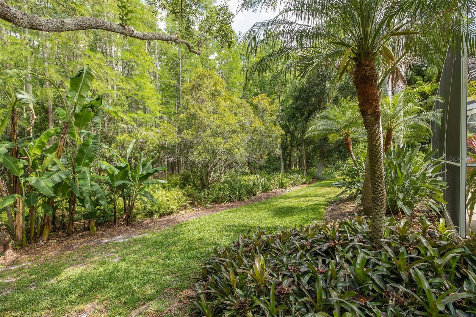 19204 PRISTINE PL, LUTZ, FL, 33558