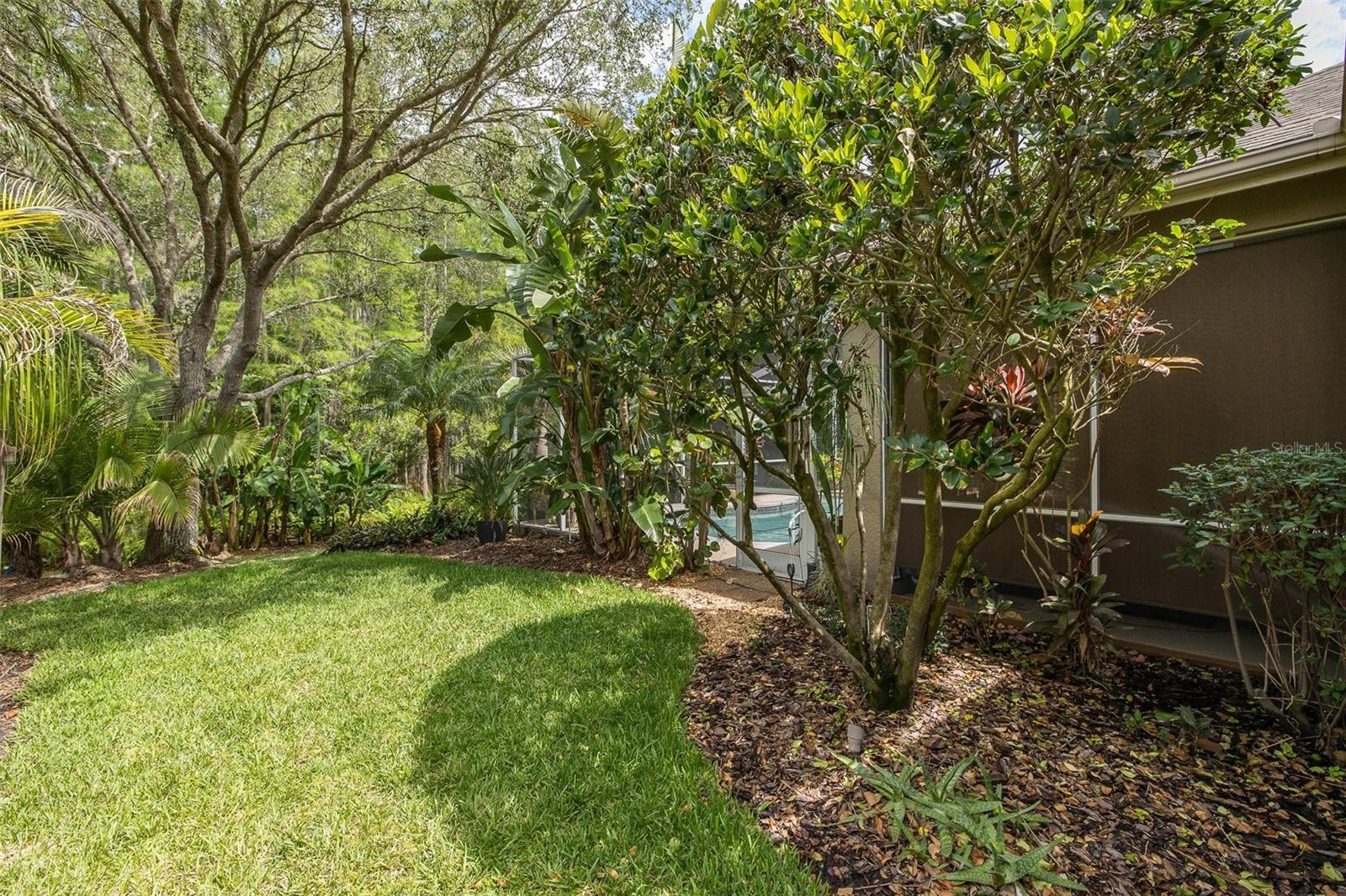 19204 PRISTINE PL, LUTZ, FL, 33558