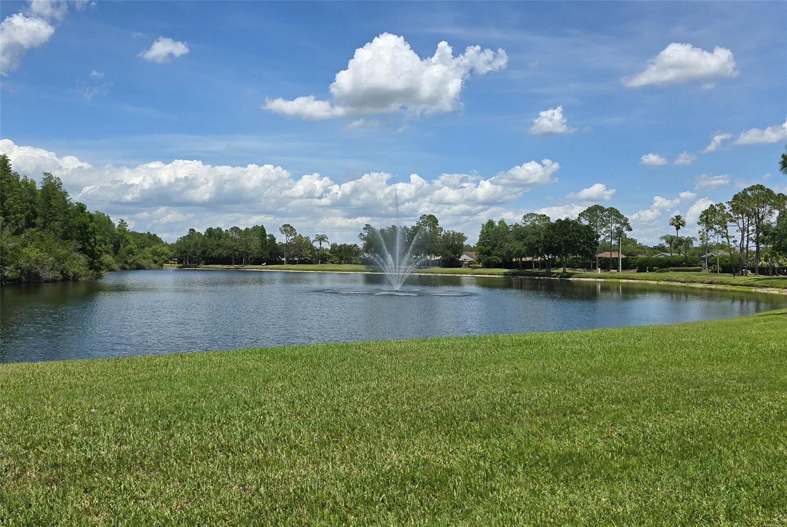 19204 PRISTINE PL, LUTZ, FL, 33558