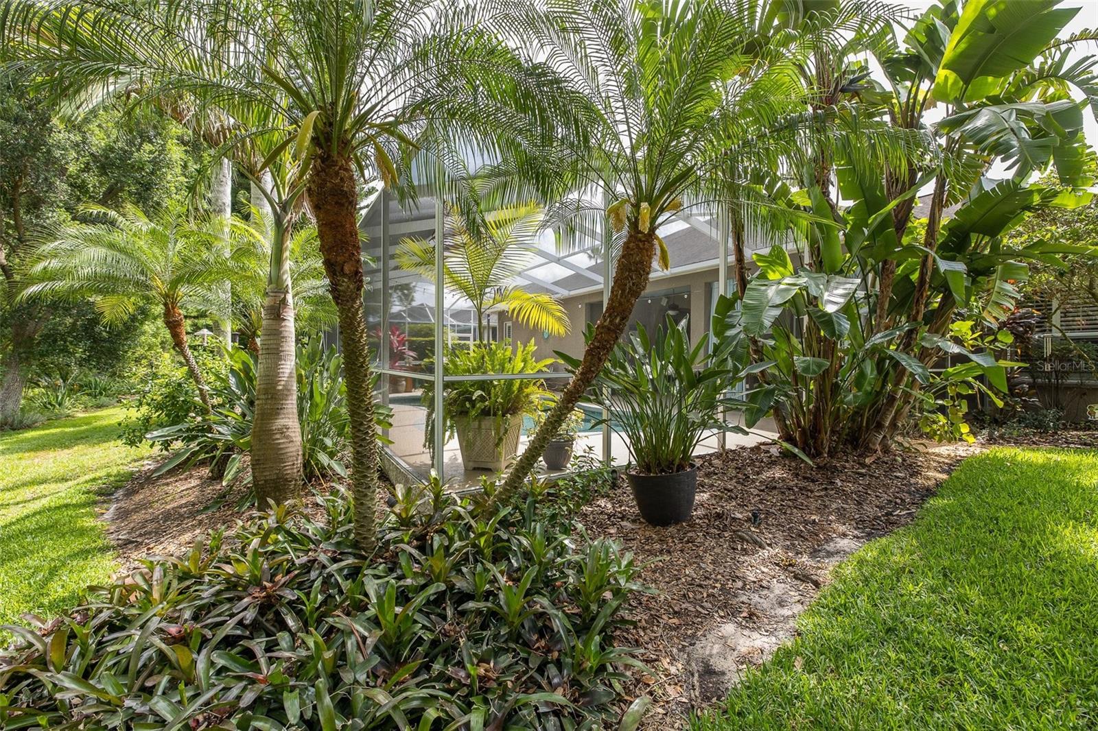 19204 PRISTINE PL, LUTZ, FL, 33558