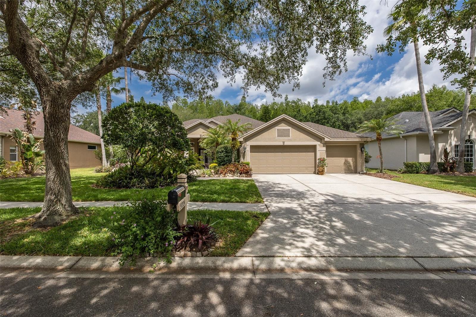 19204 PRISTINE PL, LUTZ, FL, 33558