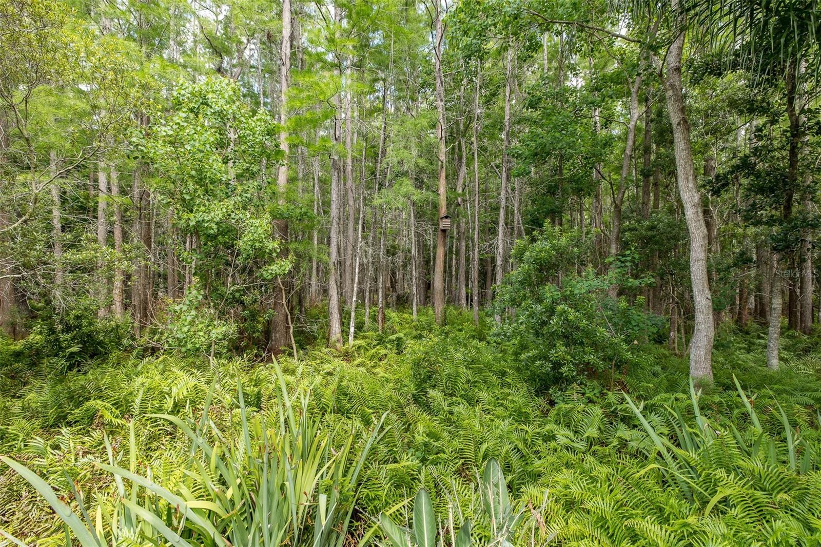 19204 PRISTINE PL, LUTZ, FL, 33558