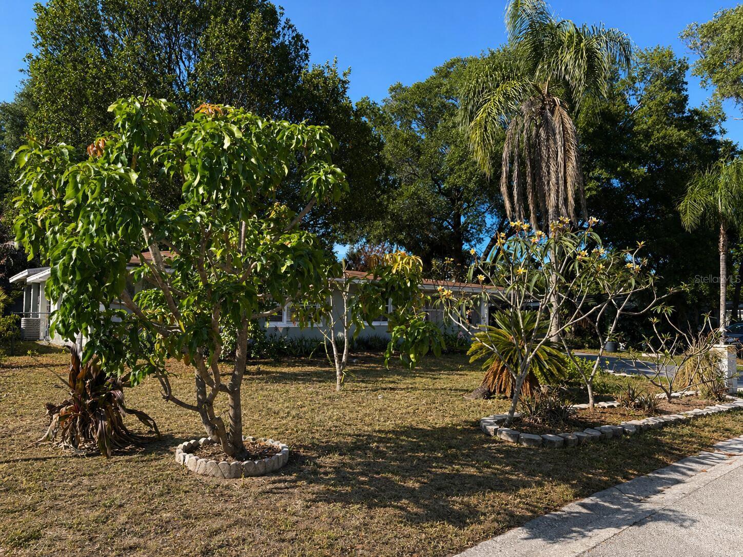 8618 GRANDVIEW DR, TAMPA, FL, 33617