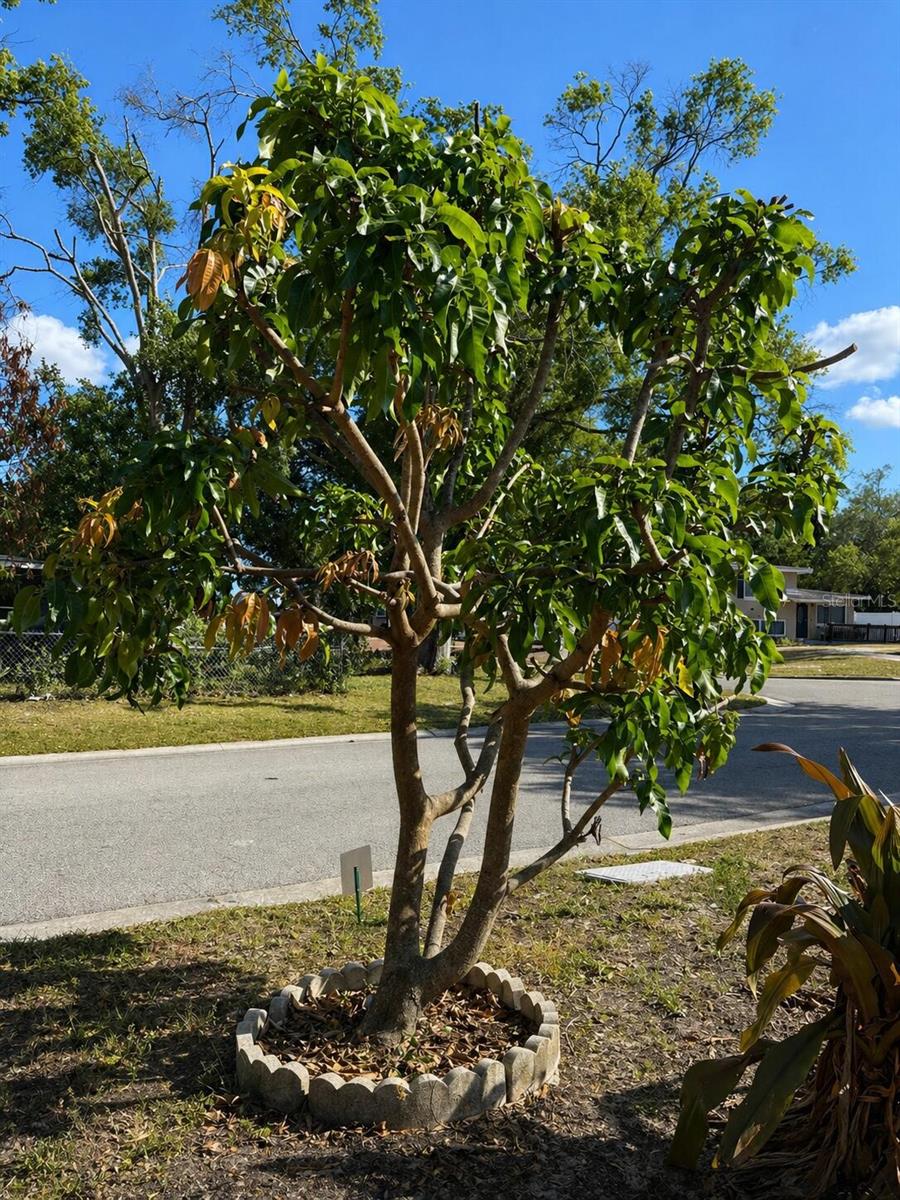8618 GRANDVIEW DR, TAMPA, FL, 33617