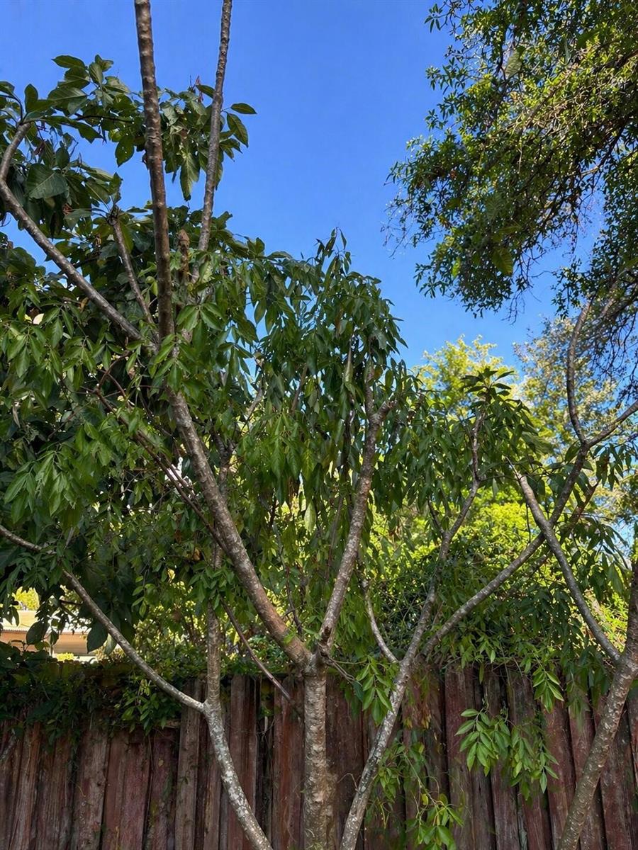 8618 GRANDVIEW DR, TAMPA, FL, 33617