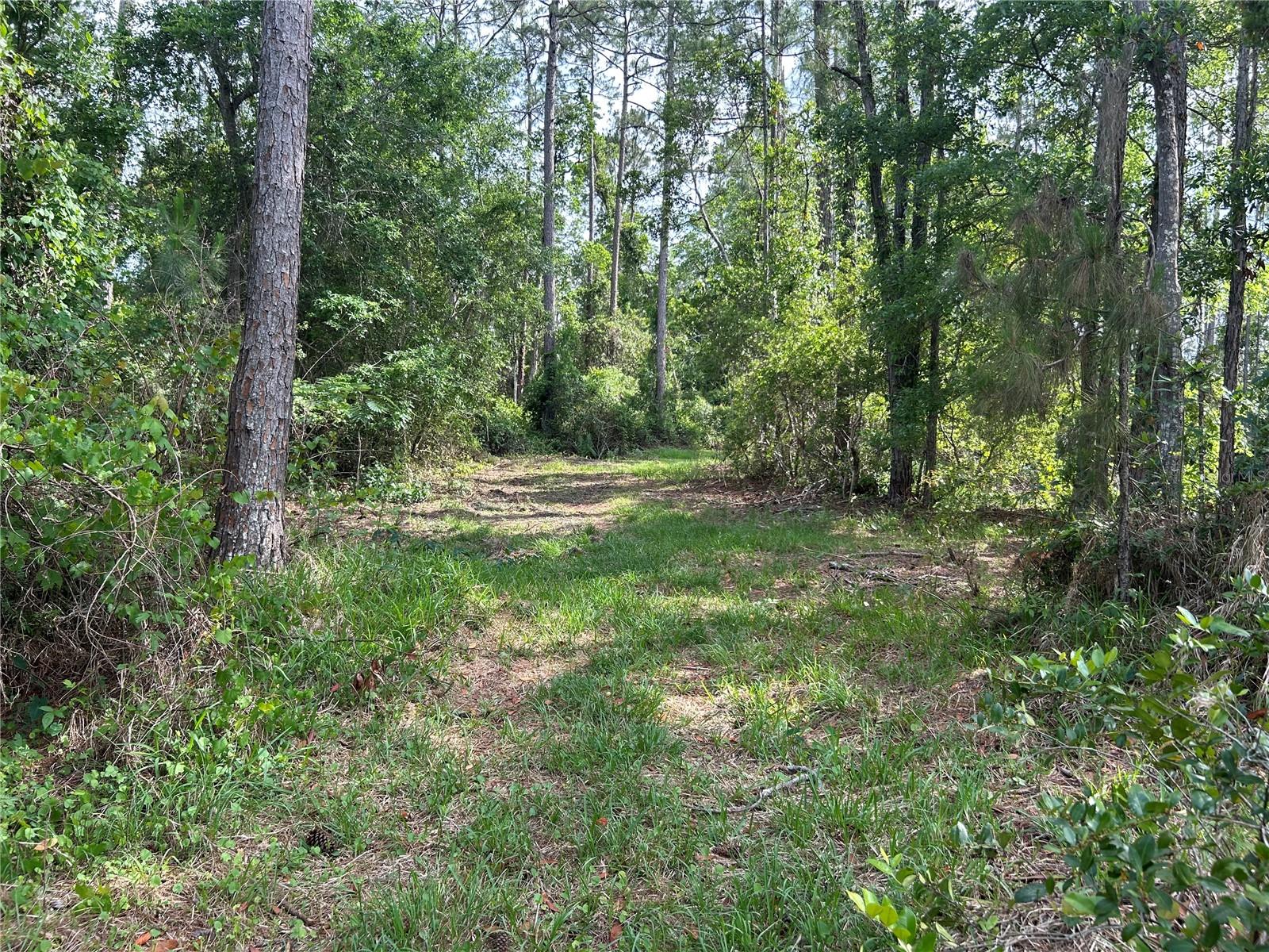 2585 VISTA PARK DR, DELAND, FL, 32724