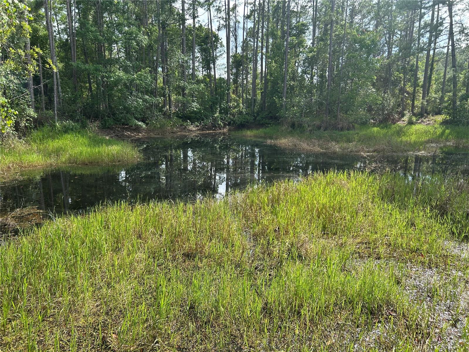 2585 VISTA PARK DR, DELAND, FL, 32724