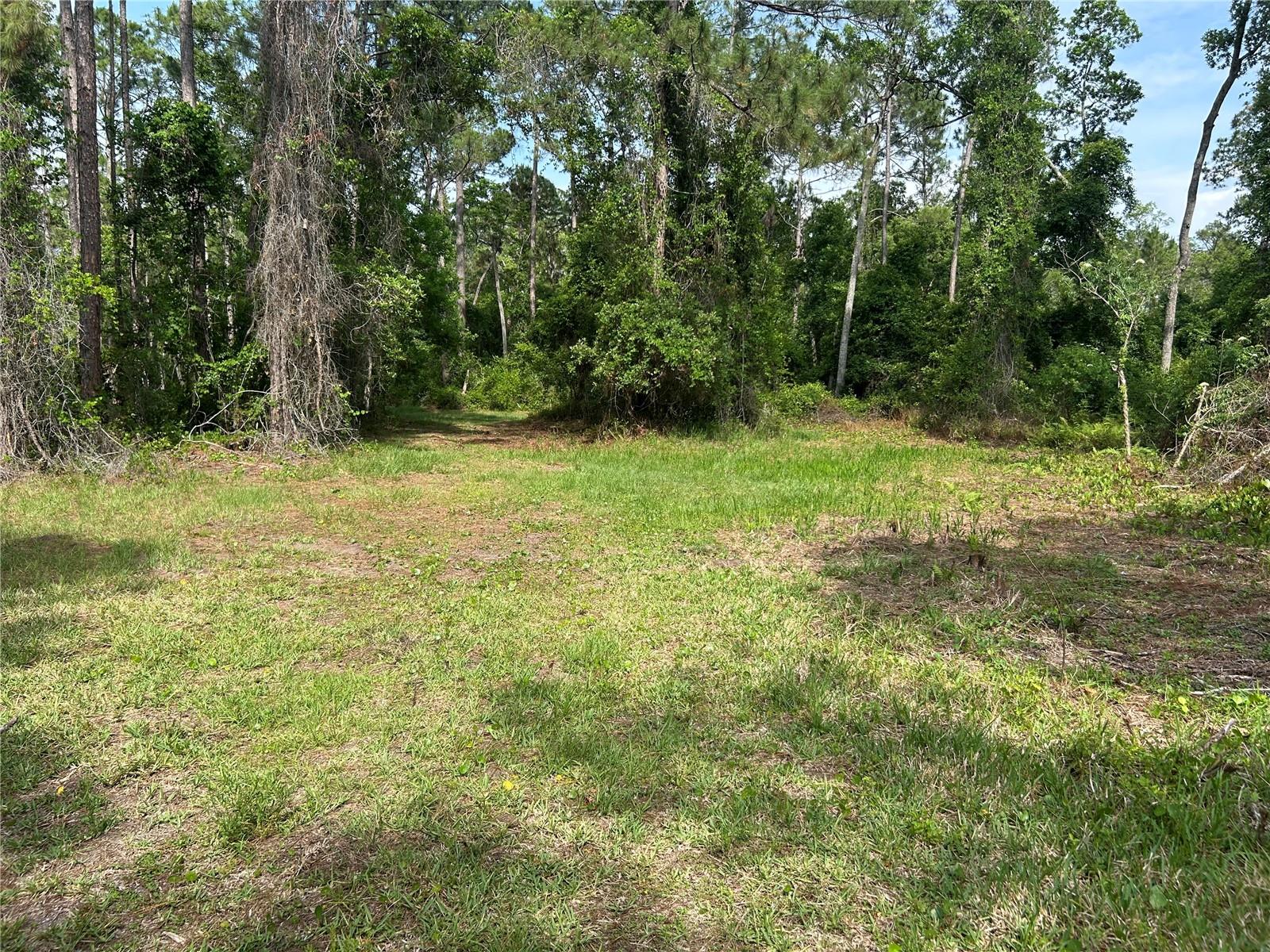 2585 VISTA PARK DR, DELAND, FL, 32724