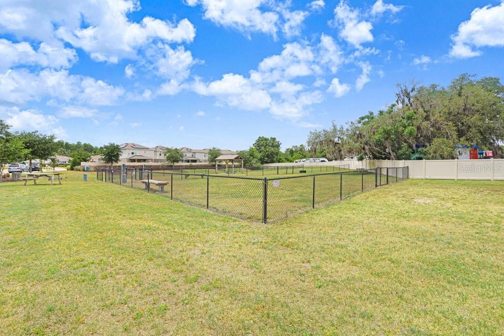 10677 GLIDING EAGLE WAY, LAND O LAKES, FL, 34638