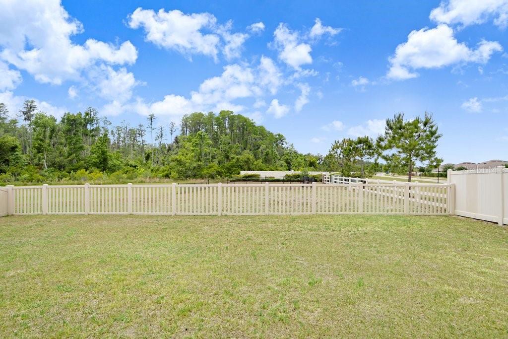 10677 GLIDING EAGLE WAY, LAND O LAKES, FL, 34638