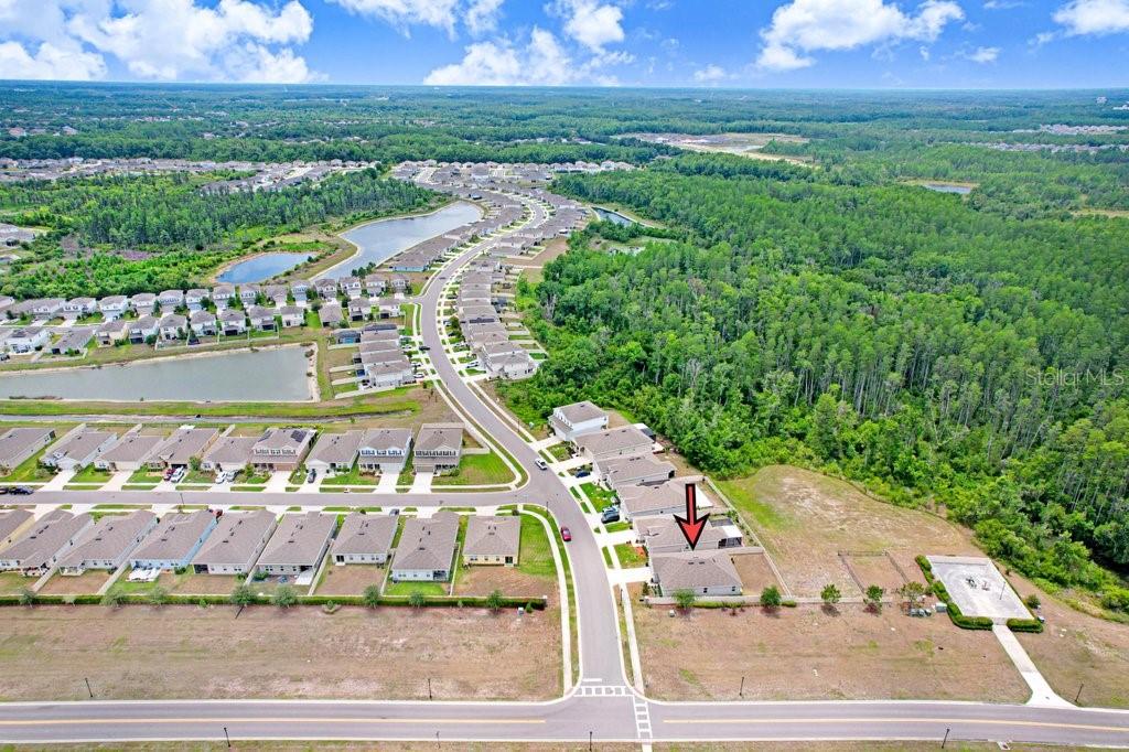 10677 GLIDING EAGLE WAY, LAND O LAKES, FL, 34638