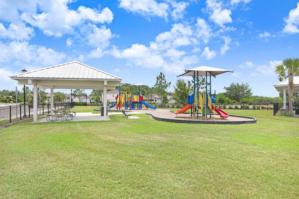 10677 GLIDING EAGLE WAY, LAND O LAKES, FL, 34638