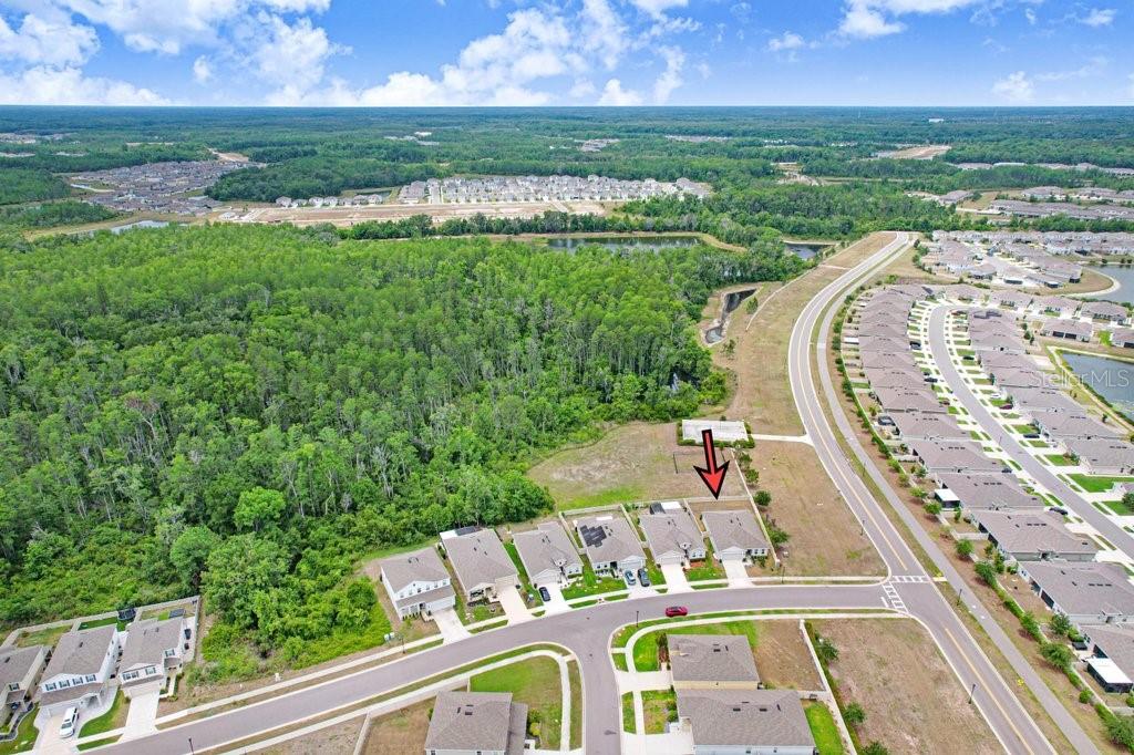 10677 GLIDING EAGLE WAY, LAND O LAKES, FL, 34638