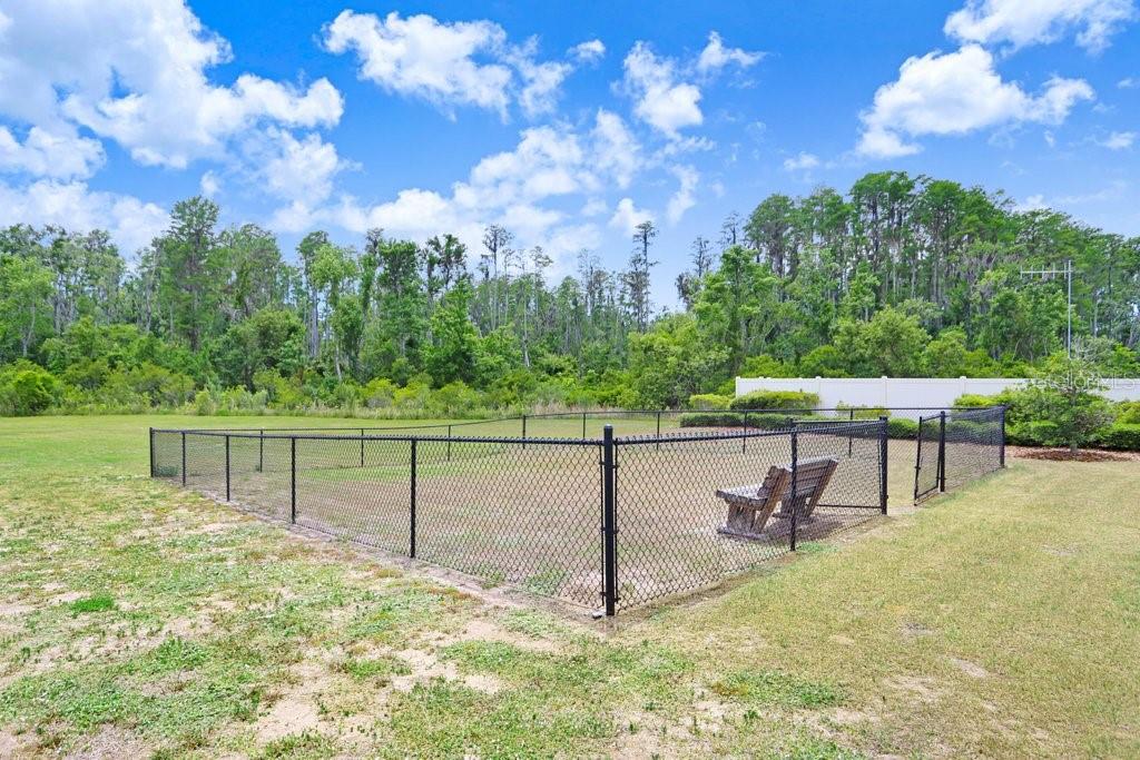 10677 GLIDING EAGLE WAY, LAND O LAKES, FL, 34638