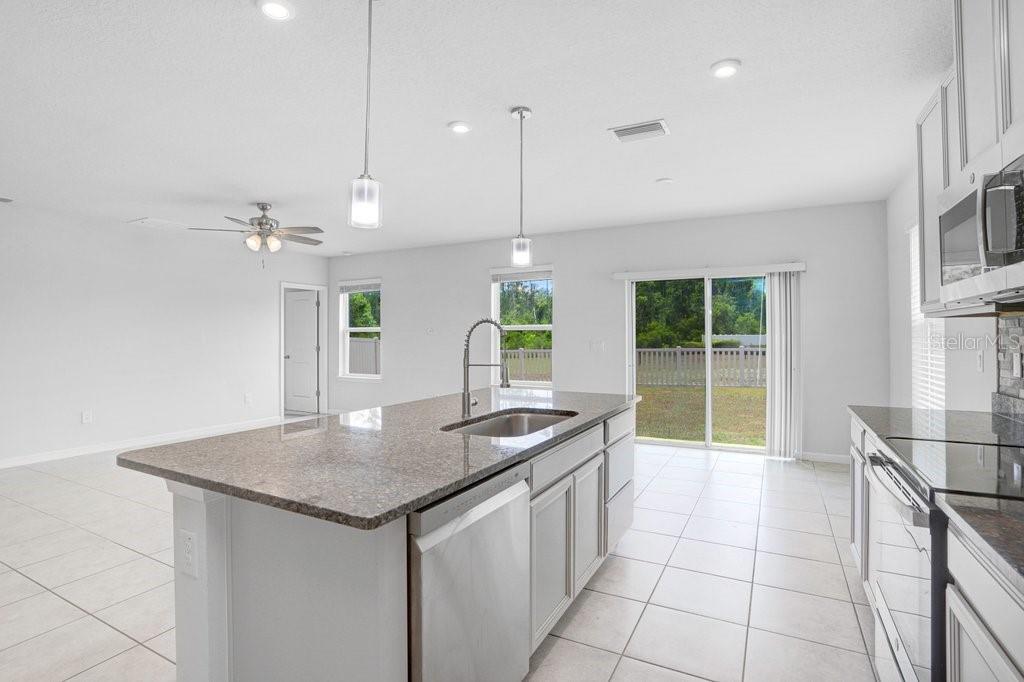10677 GLIDING EAGLE WAY, LAND O LAKES, FL, 34638