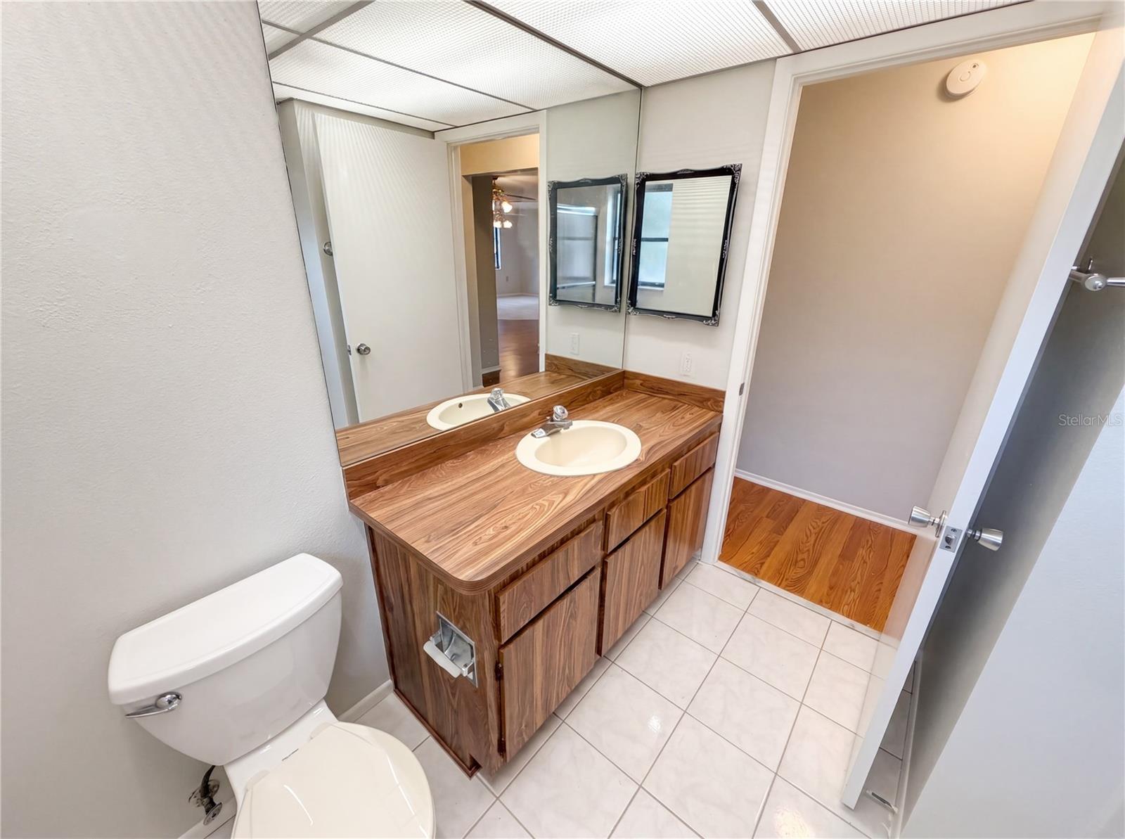 3413 SNOWY EGRET CT, PALM HARBOR, FL, 34683