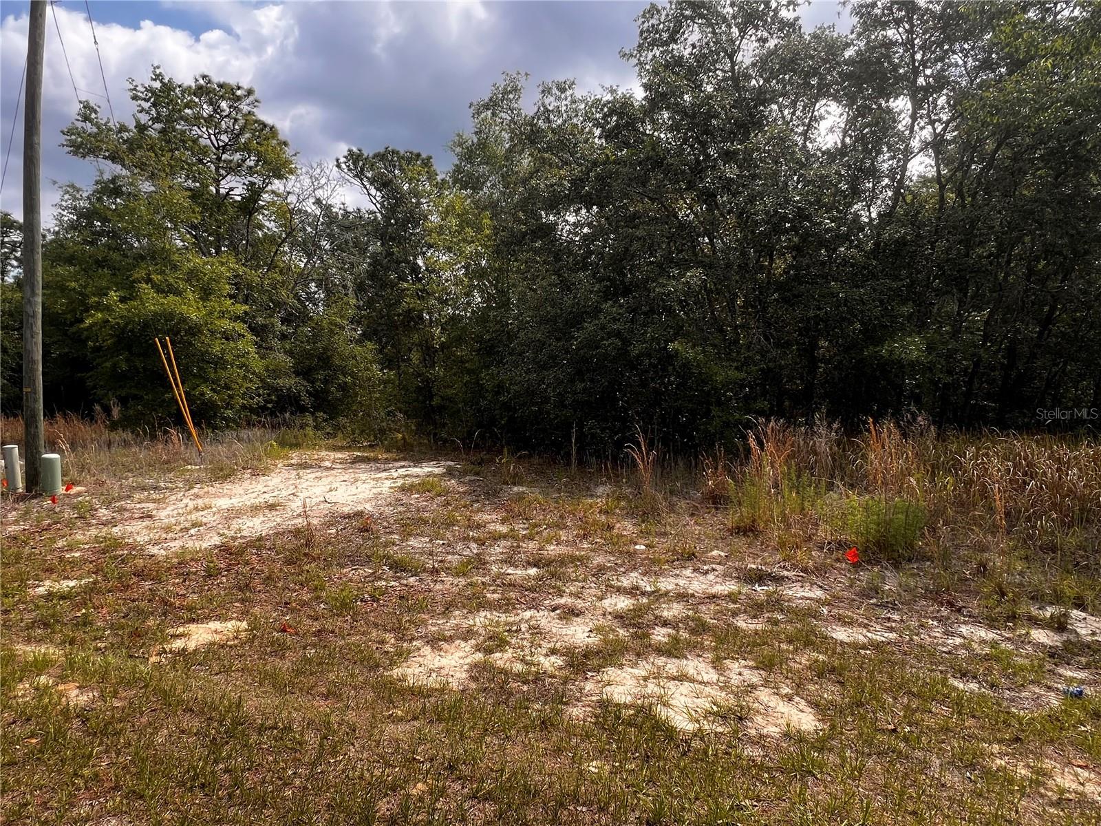 7095 N FOXDALE DR, CITRUS SPRINGS, FL, 34434