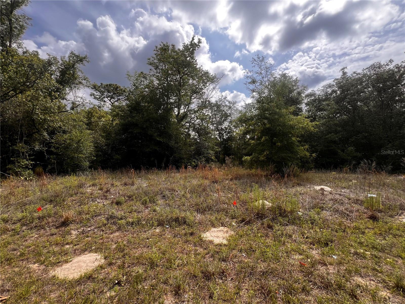 7095 N FOXDALE DR, CITRUS SPRINGS, FL, 34434