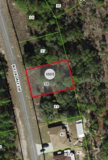 7095 N FOXDALE DR, CITRUS SPRINGS, FL, 34434