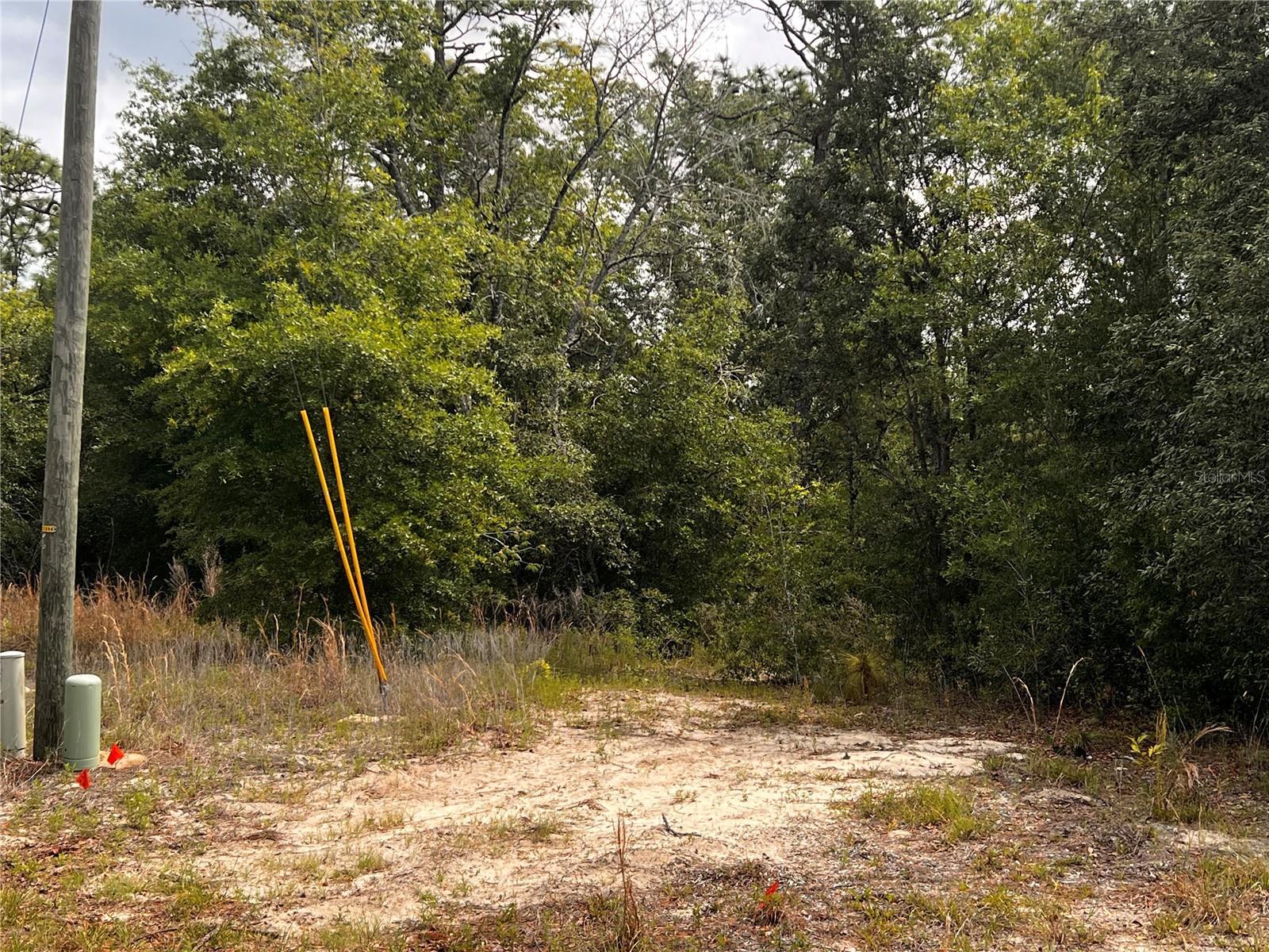 7095 N FOXDALE DR, CITRUS SPRINGS, FL, 34434