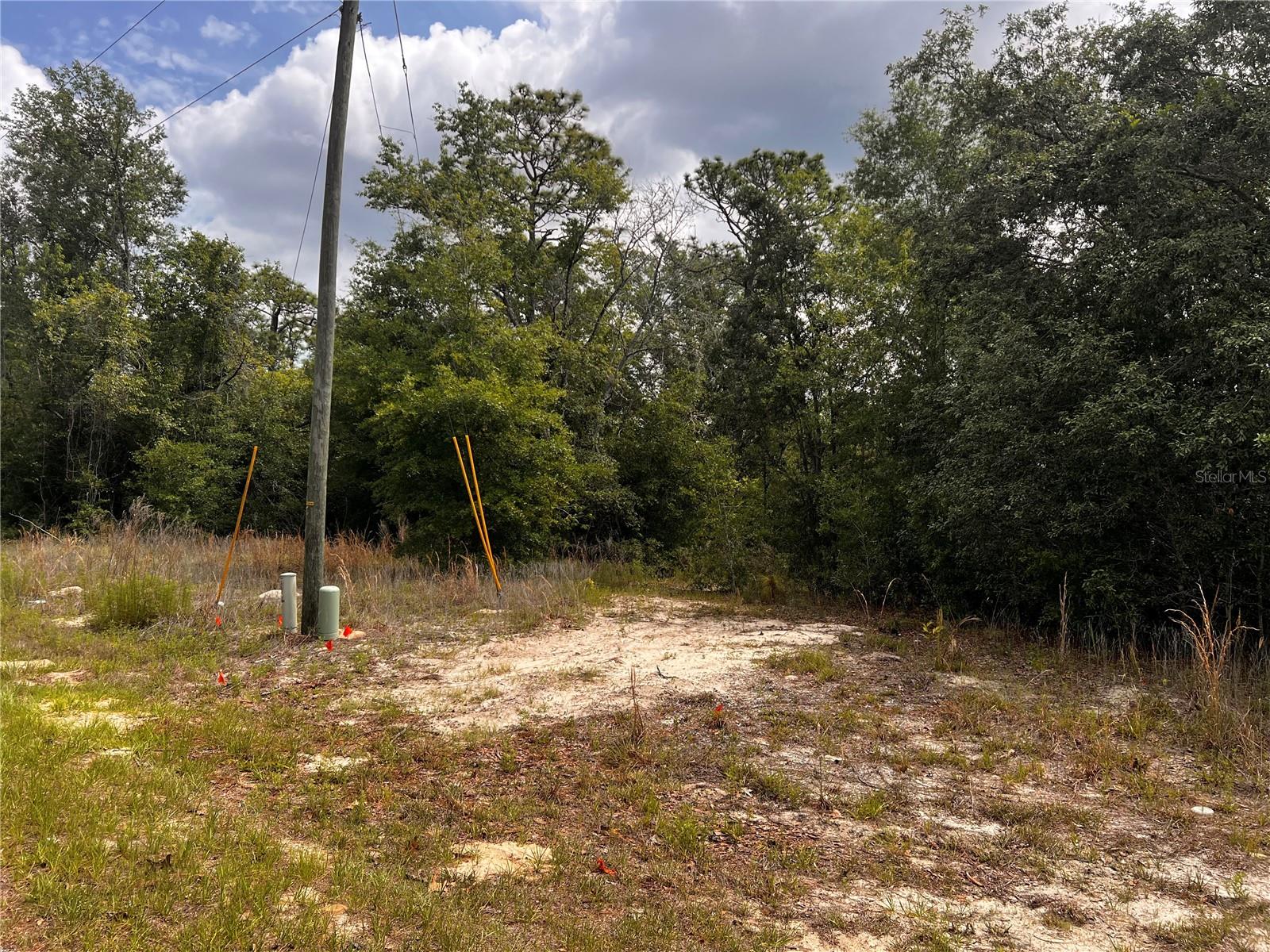 7095 N FOXDALE DR, CITRUS SPRINGS, FL, 34434