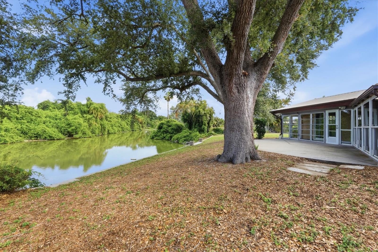 425 DRIFTWOOD RD, VENICE, FL, 34293