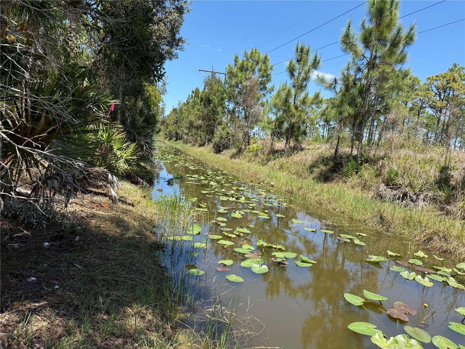 12422 CARAVAN DR, PUNTA GORDA, FL, 33955
