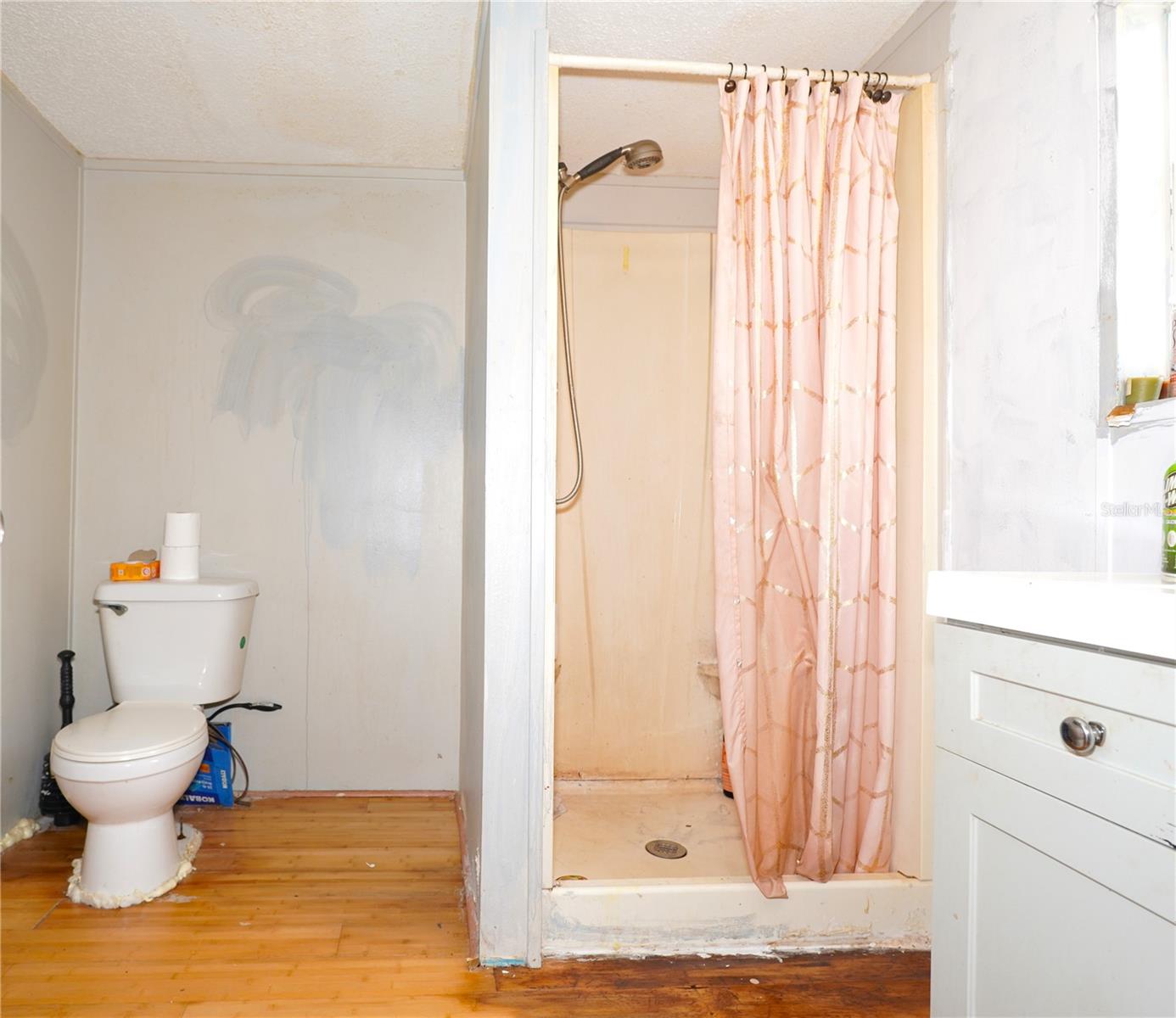 14041 SE 90TH TER, SUMMERFIELD, FL, 34491