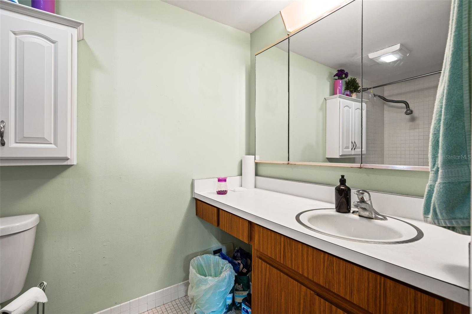 4138 PINELAKE LN #201, TAMPA, FL, 33618