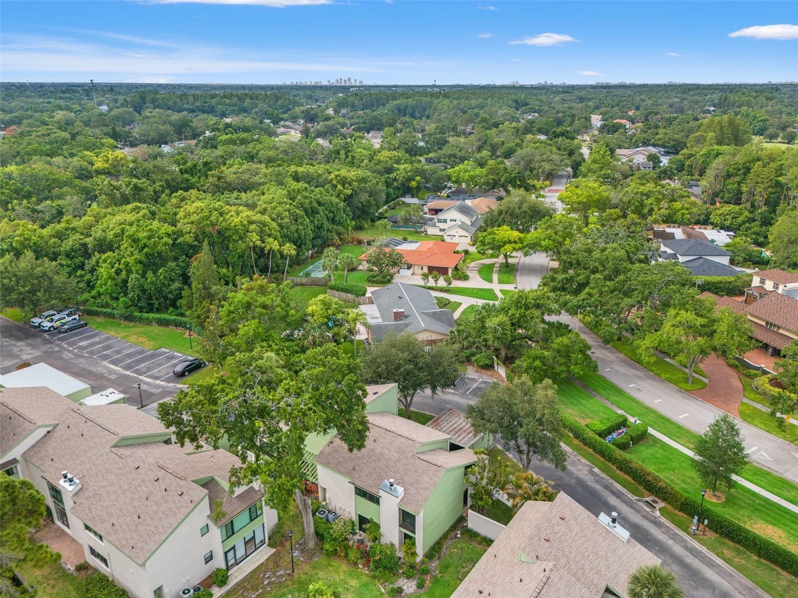 4138 PINELAKE LN #201, TAMPA, FL, 33618