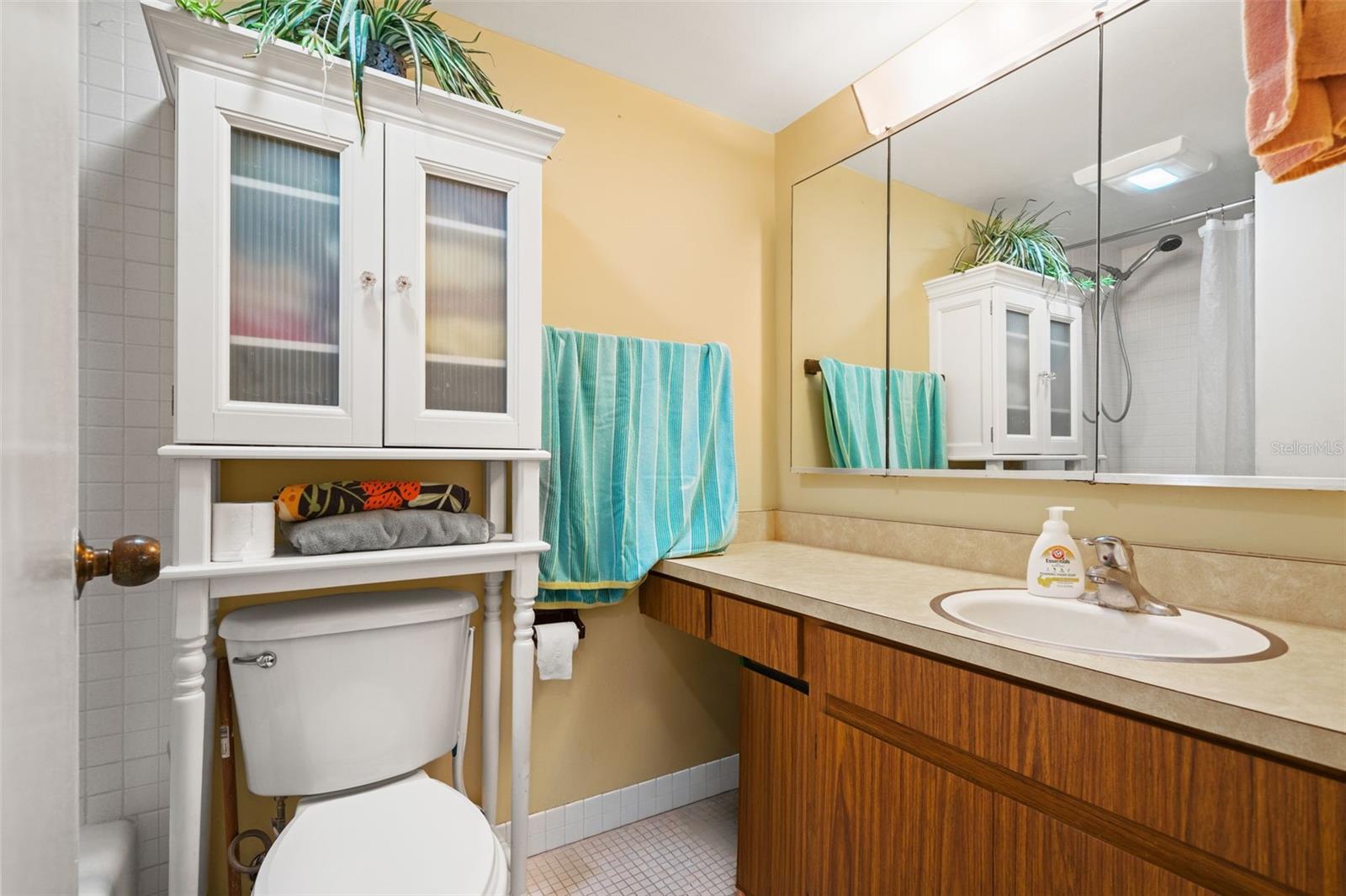 4138 PINELAKE LN #201, TAMPA, FL, 33618