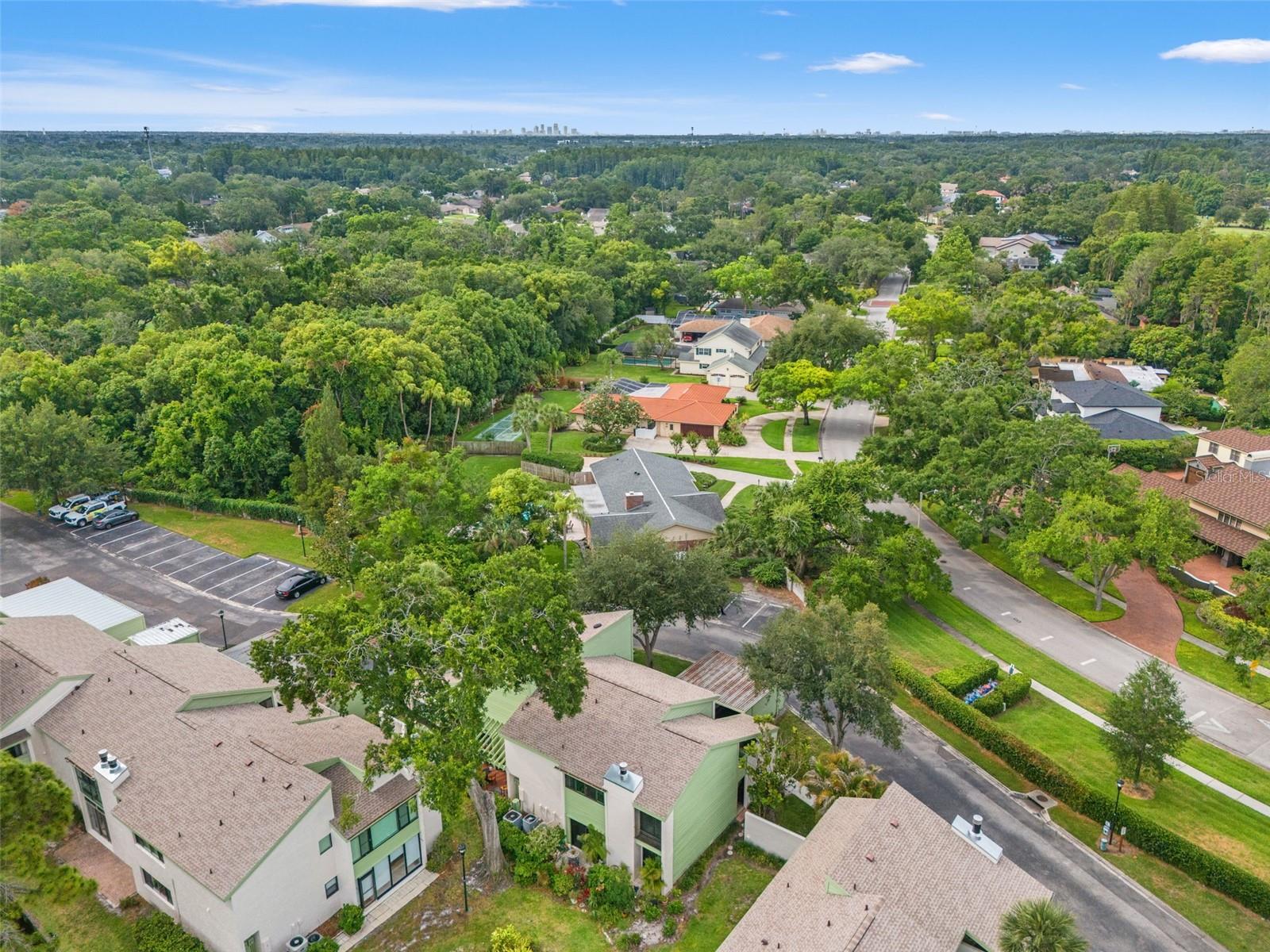 4138 PINELAKE LN #201, TAMPA, FL, 33618