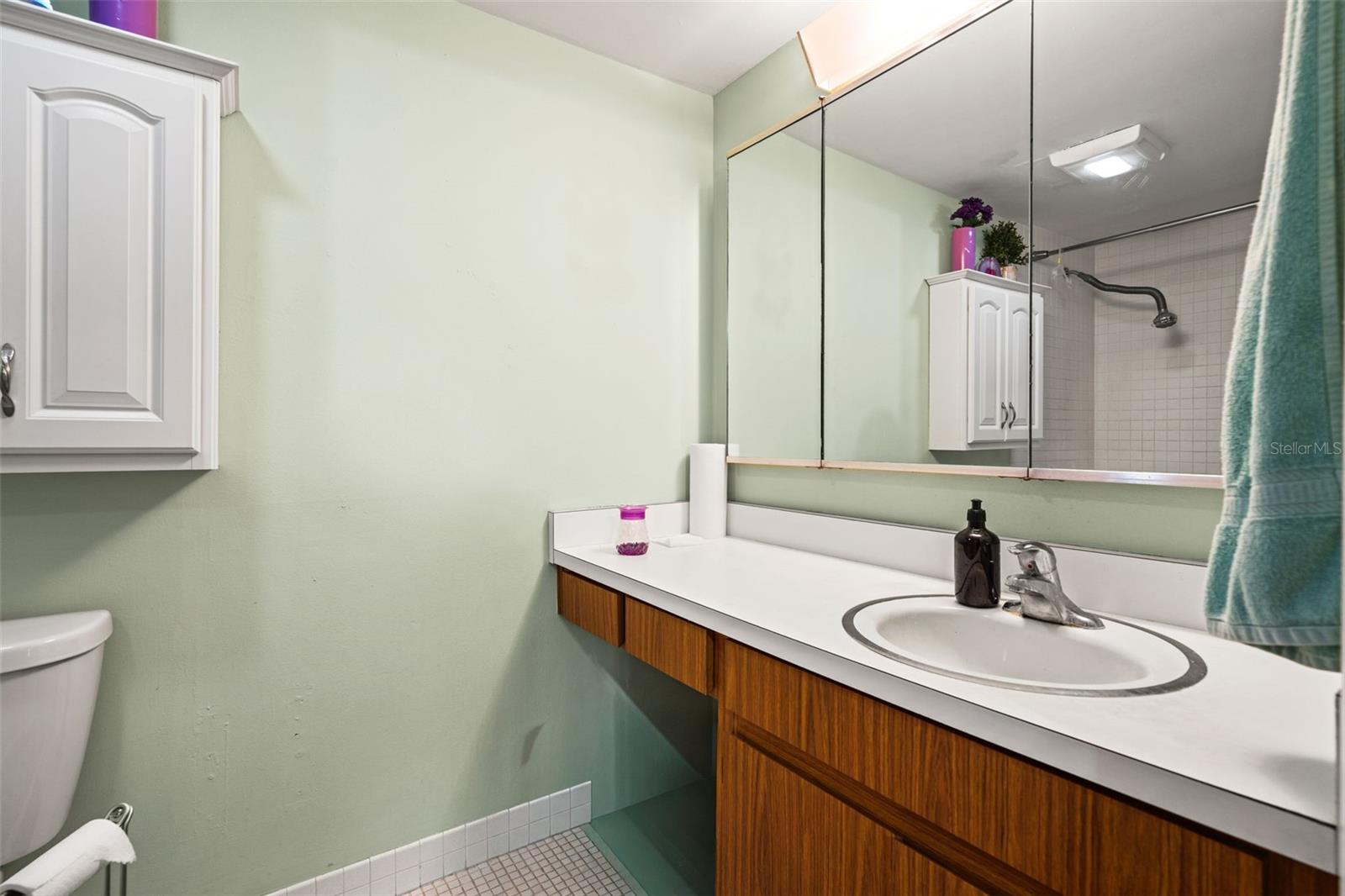 4138 PINELAKE LN #201, TAMPA, FL, 33618