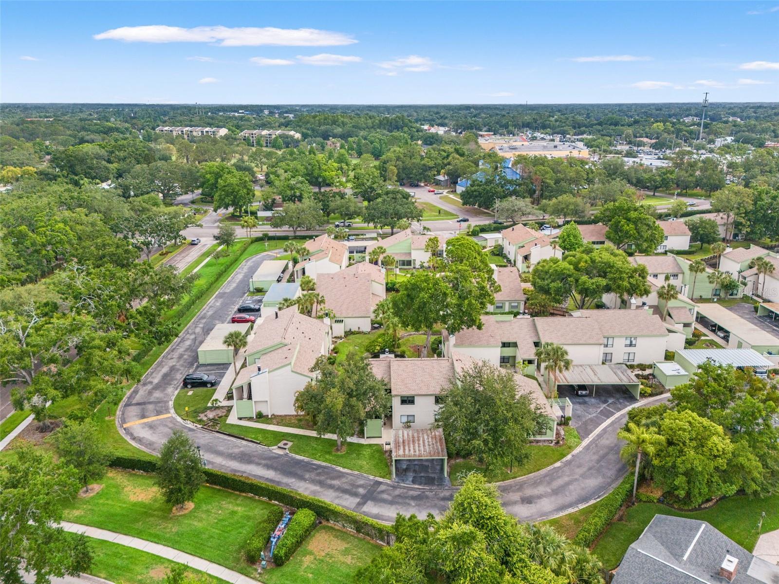 4138 PINELAKE LN #201, TAMPA, FL, 33618