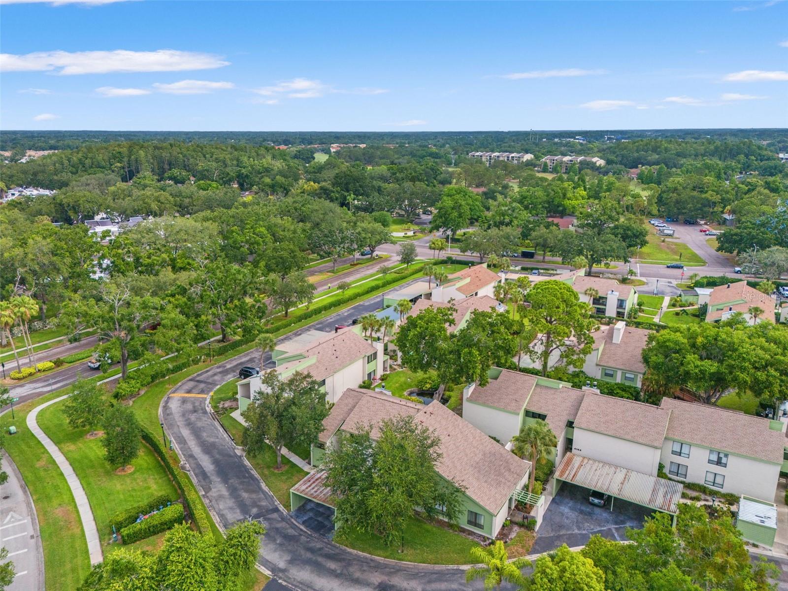 4138 PINELAKE LN #201, TAMPA, FL, 33618